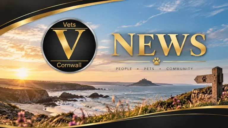 vets news